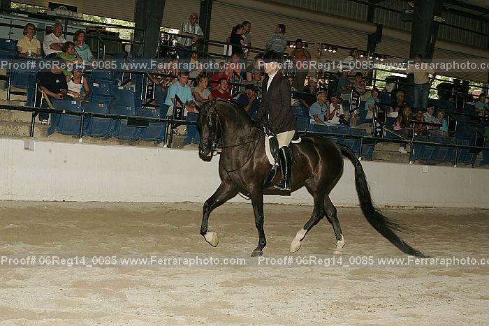 Proof 06reg14_0085