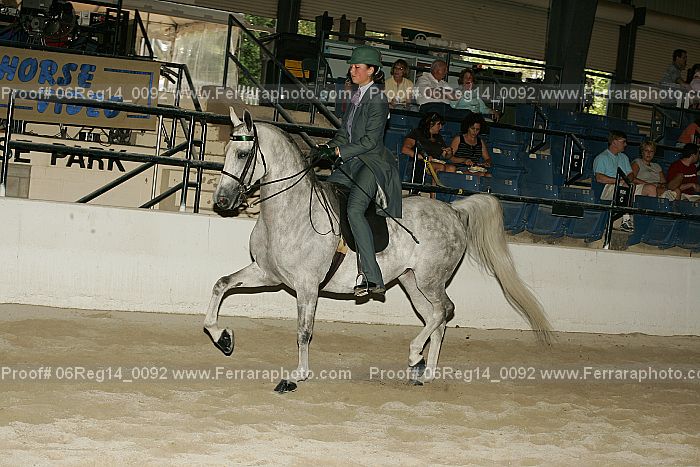 Proof 06reg14_0092