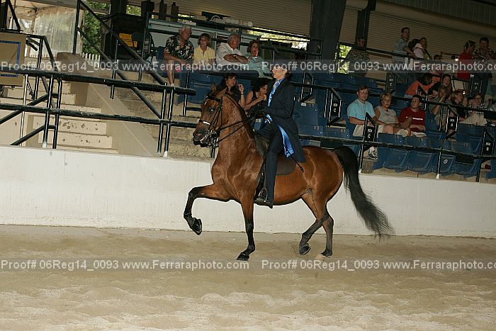 Proof 06reg14_0093