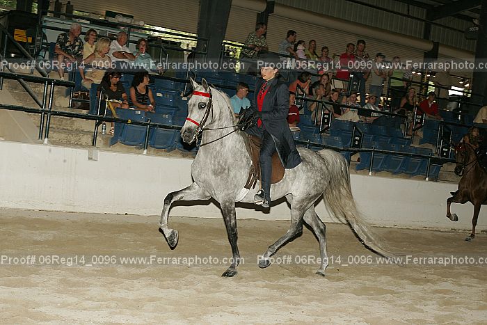 Proof 06reg14_0096