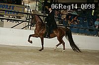 06reg14_0098 proof