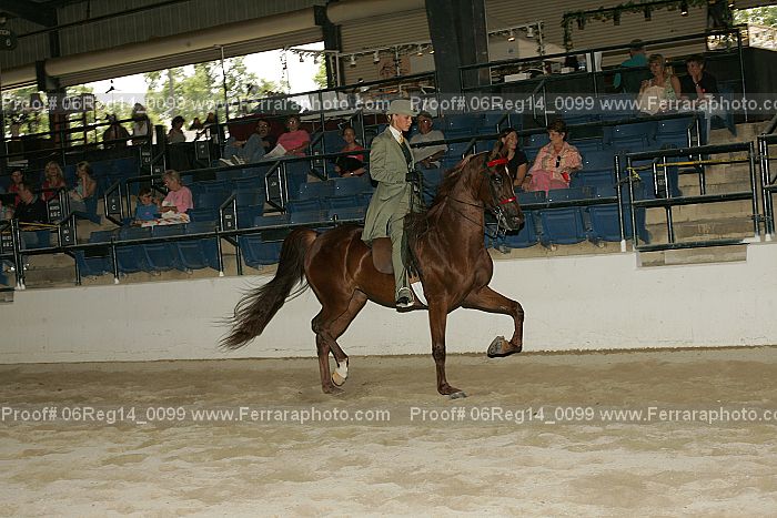 Proof 06reg14_0099