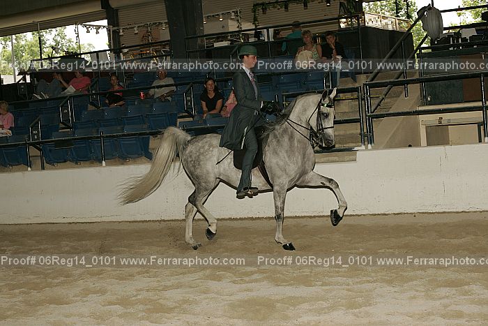 Proof 06reg14_0101