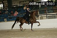 06reg14_0103 proof