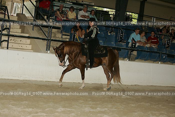 Proof 06reg14_0107