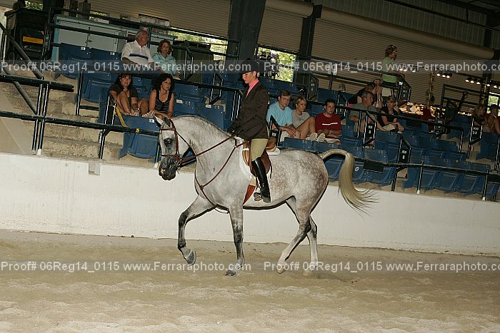 Proof 06reg14_0115