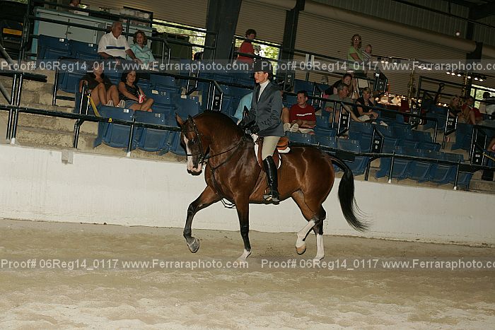 Proof 06reg14_0117