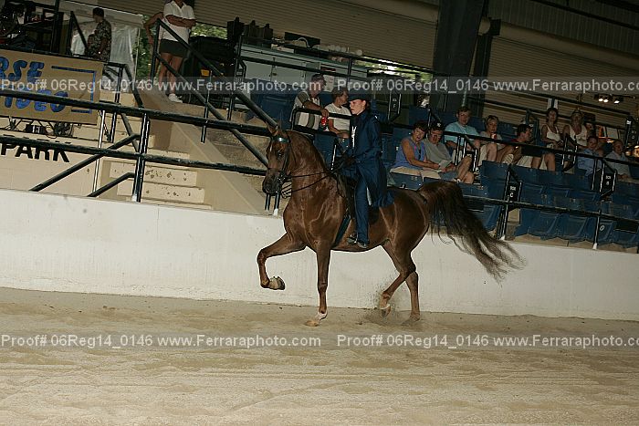 Proof 06reg14_0146