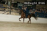 06reg14_0146 proof