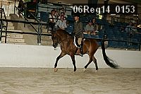 06reg14_0153 proof