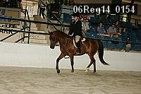 06reg14_0154 proof