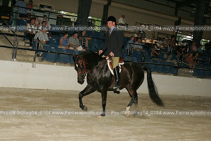 Proof 06reg14_0164