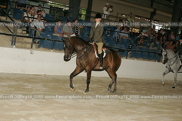 Proof 06reg14_0165