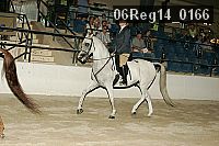 06reg14_0166 proof