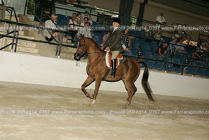 Proof 06reg14_0167