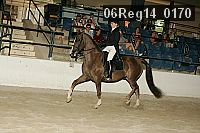 06reg14_0170 proof