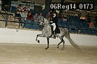 06reg14_0173 proof