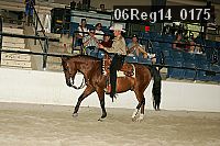 06reg14_0175 proof