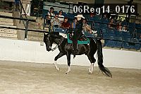 06reg14_0176 proof