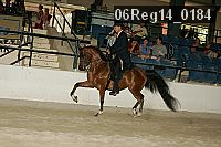06reg14_0184 proof