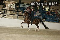 06reg14_0185 proof