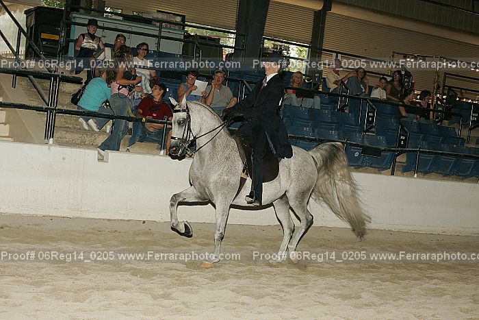 Proof 06reg14_0205