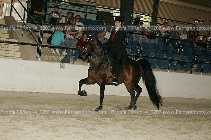 Proof 06reg14_0207