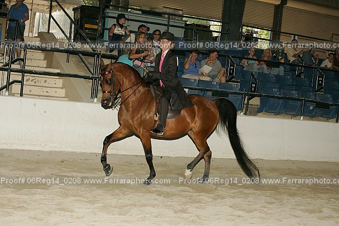 Proof 06reg14_0208