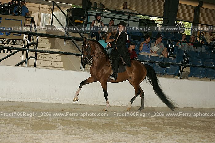 Proof 06reg14_0209