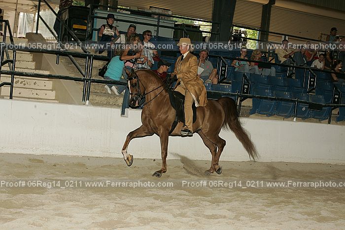 Proof 06reg14_0211
