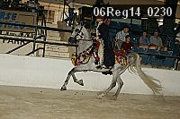 06reg14_0230 proof