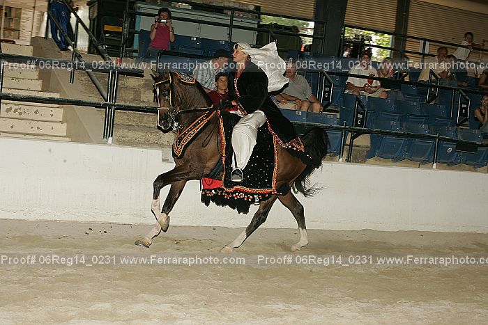 Proof 06reg14_0231