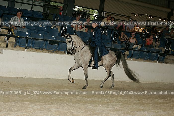 Proof 06reg14_0243
