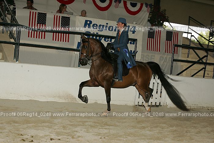 Proof 06reg14_0248