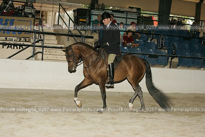 Proof 06reg14_0257