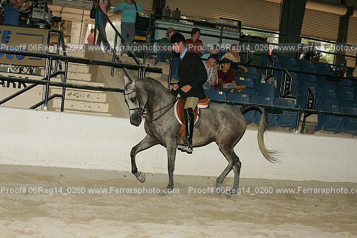 Proof 06reg14_0260