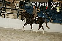 06reg14_0272 proof