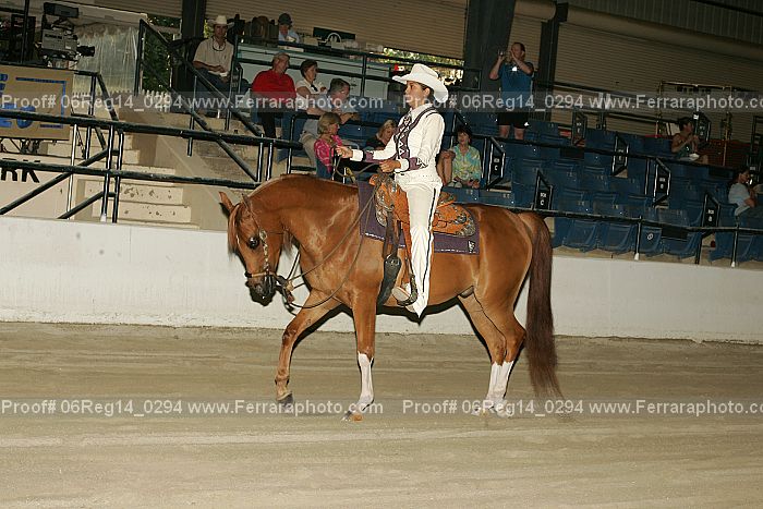 Proof 06reg14_0294