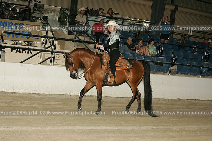 Proof 06reg14_0295