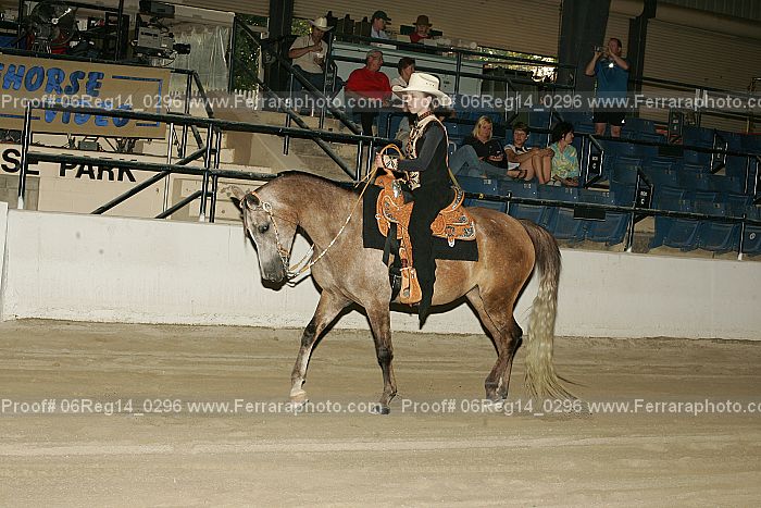 Proof 06reg14_0296
