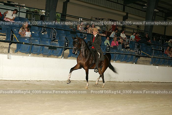 Proof 06reg14_0305