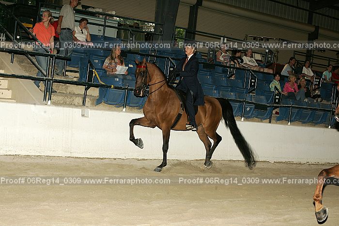 Proof 06reg14_0309