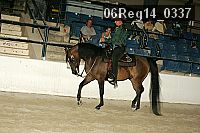 06reg14_0337 proof
