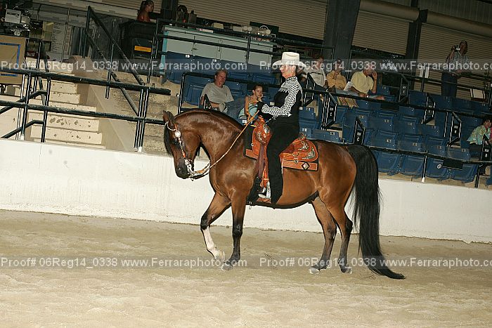 Proof 06reg14_0338