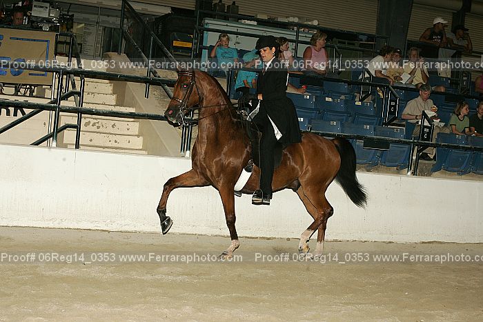 Proof 06reg14_0353