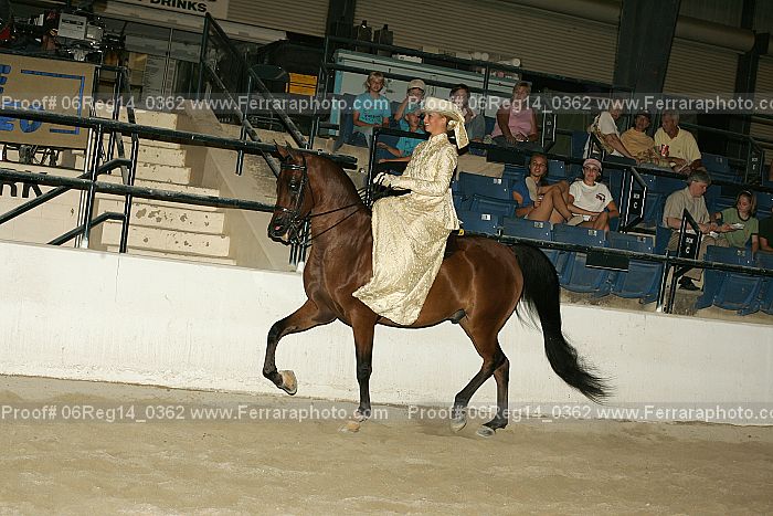 Proof 06reg14_0362