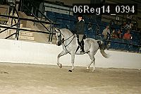 06reg14_0394 proof