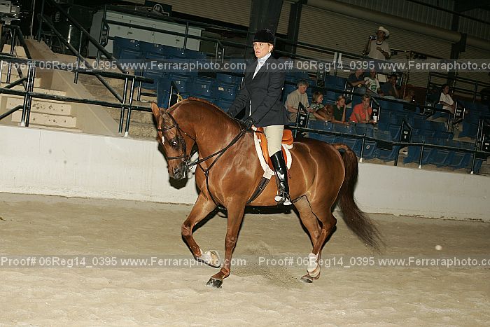 Proof 06reg14_0395