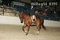 06reg14_0395 proof