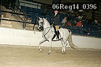 06reg14_0396 proof